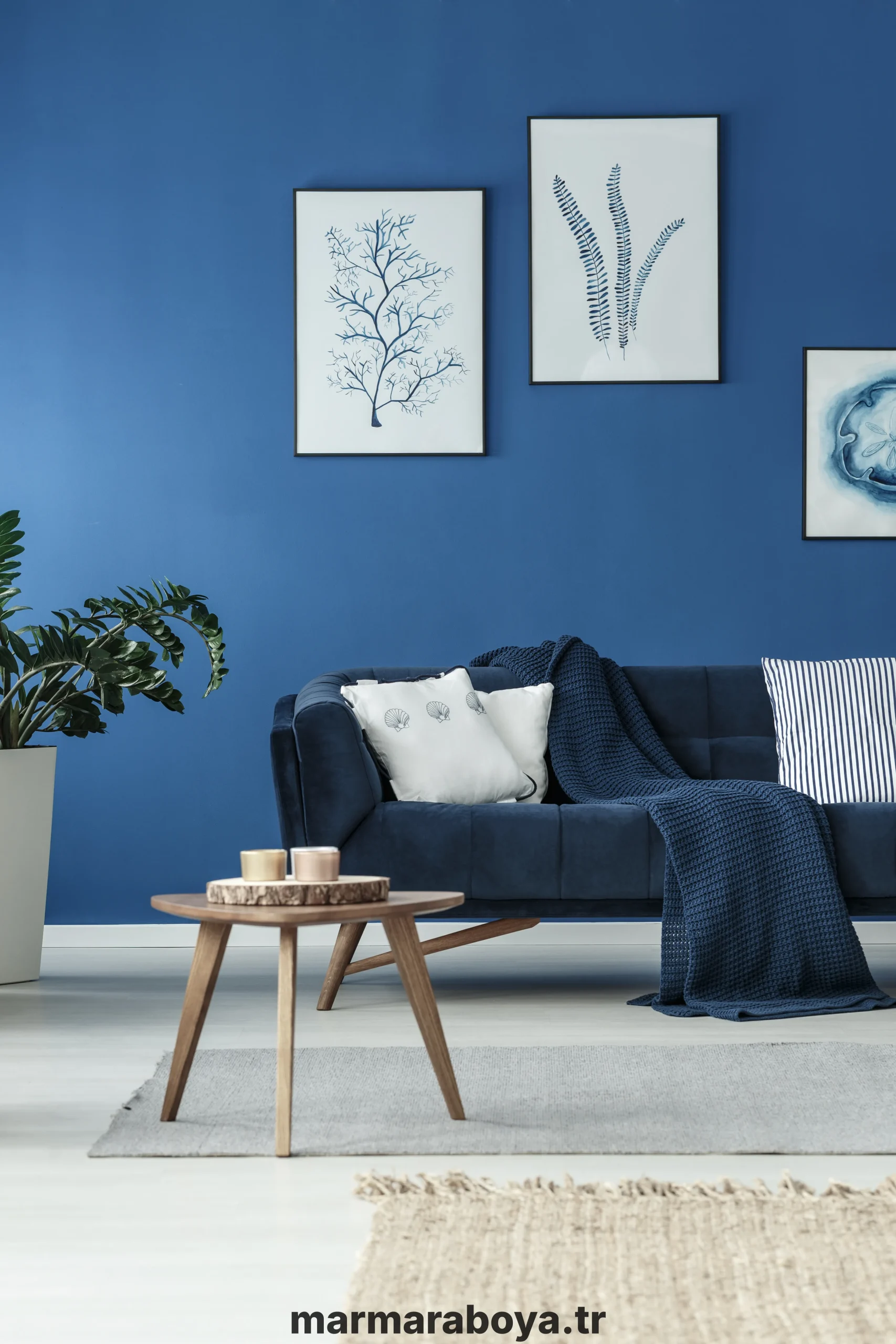 blue-sofa-and-wooden-table-in-a-living-room-2026-03-10-02-12-49-utc (1)_result